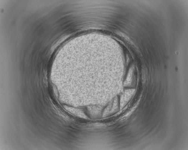 X0000078271113200611251346