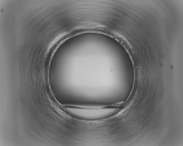 X0000078271114200611251346