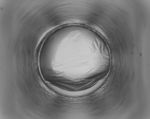 X0000078271116200611251346