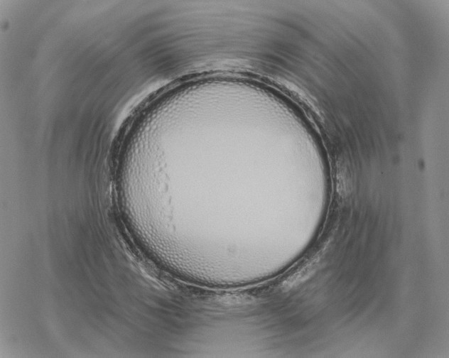 X0000078271117200611251346