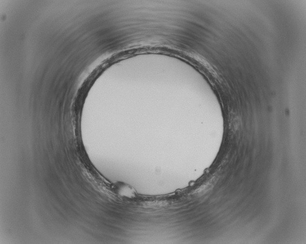 X0000078271118200611251346