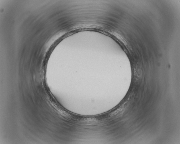 X0000078271119200611251346