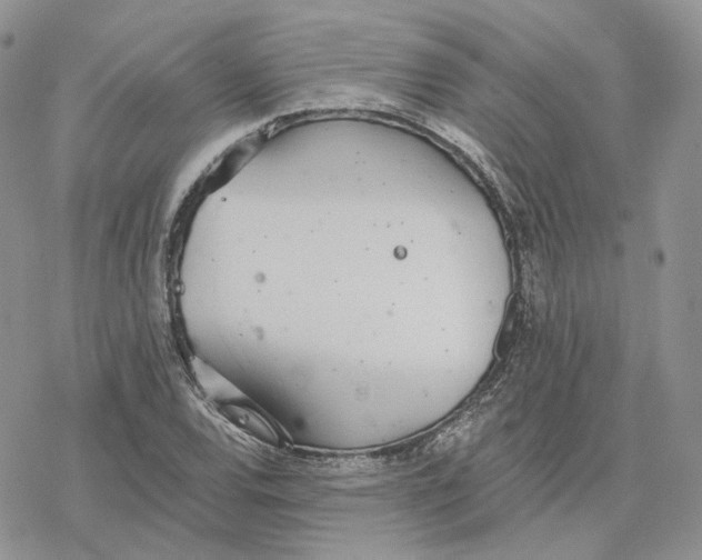 X0000078271120200611251346