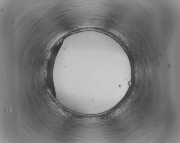 X0000078271121200611251346