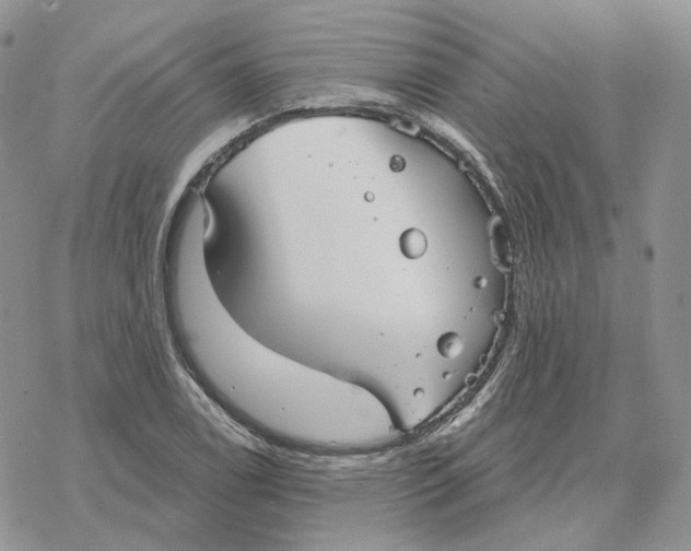 X0000078271122200611251346