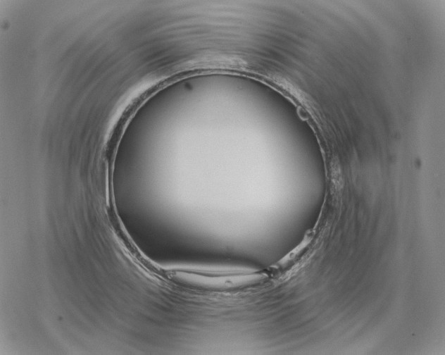 X0000078271123200611251346