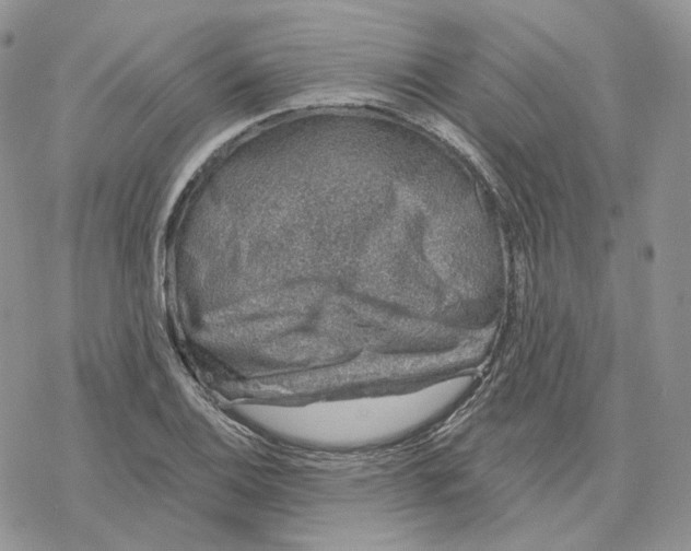 X0000078271124200611251346