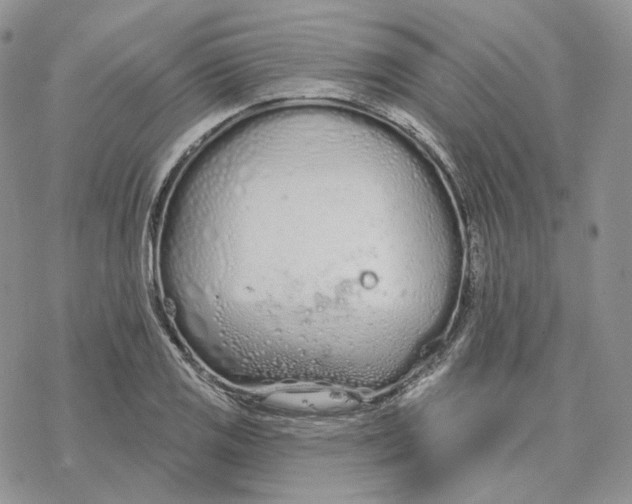 X0000078271125200611251346