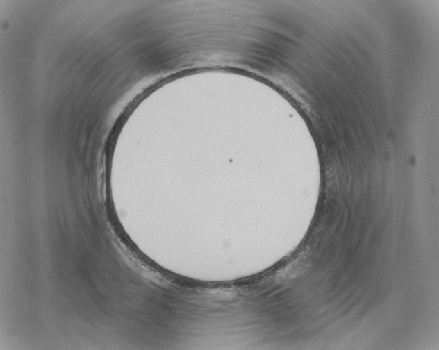 X0000078271126200611251347