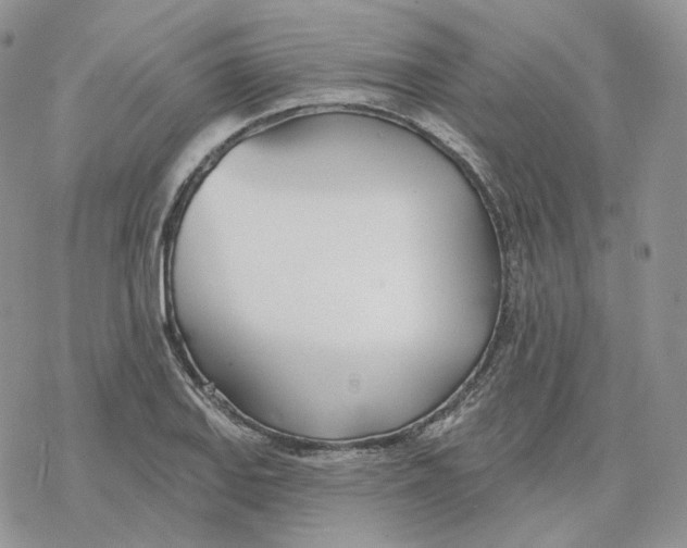 X0000078271127200611251347