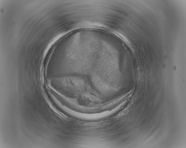 X0000078271128200611251347