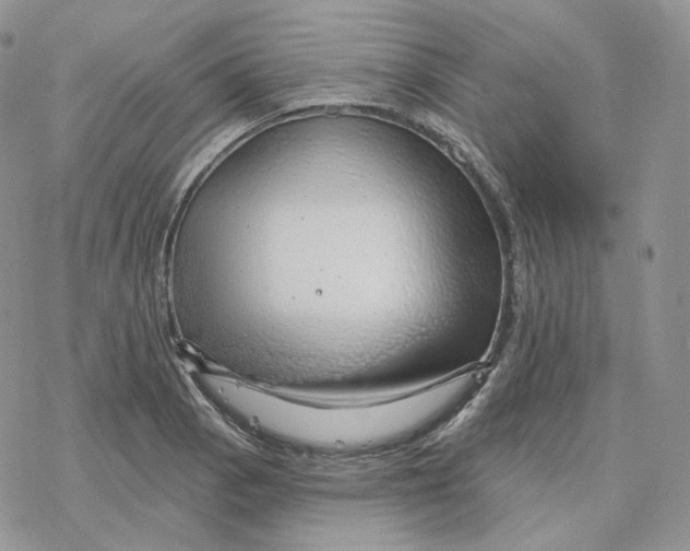 X0000078271129200611251347