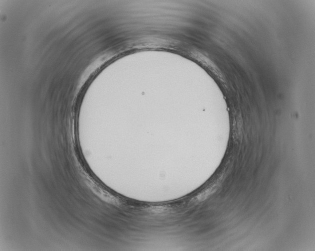 X0000078271130200611251347