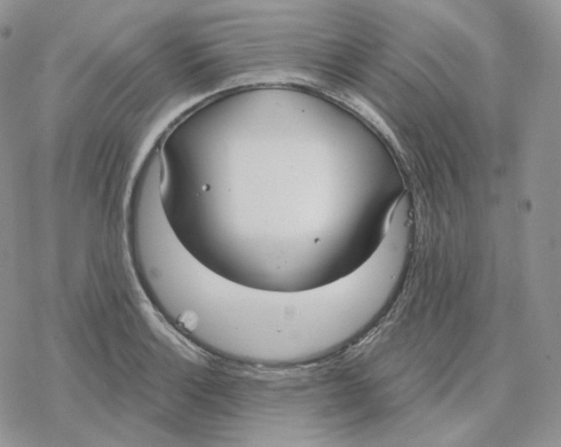 X0000078271132200611251347