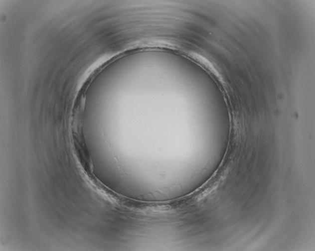 X0000078271133200611251347