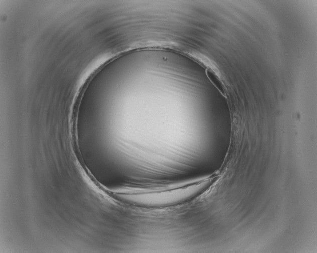 X0000078271135200611251347