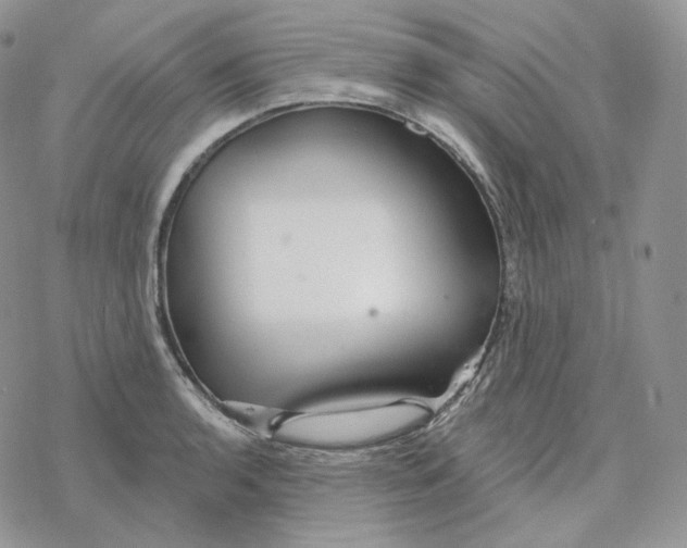 X0000078271136200611251347