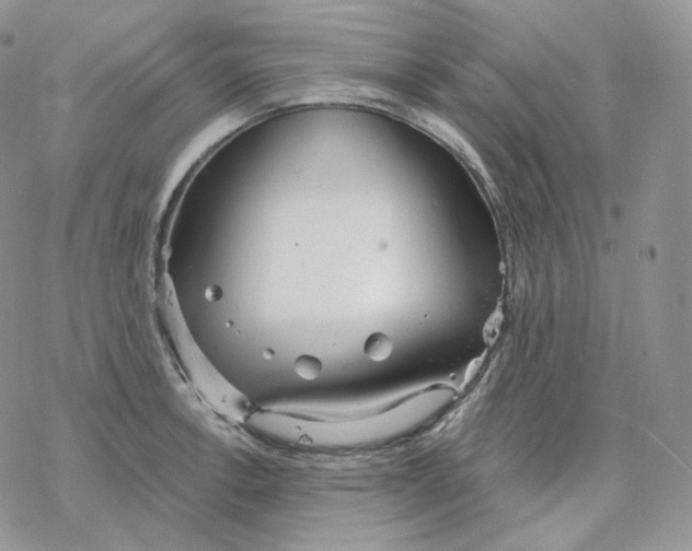 X0000078271138200611251347