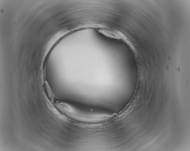 X0000078271140200611251347