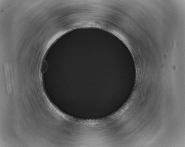 X0000078271141200611251347