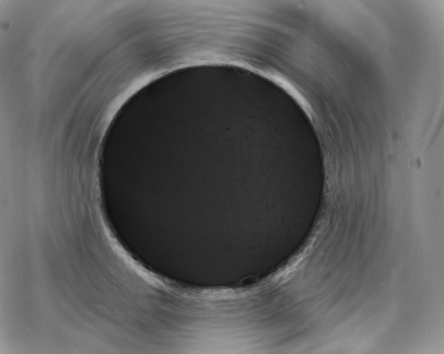 X0000078271142200611251347