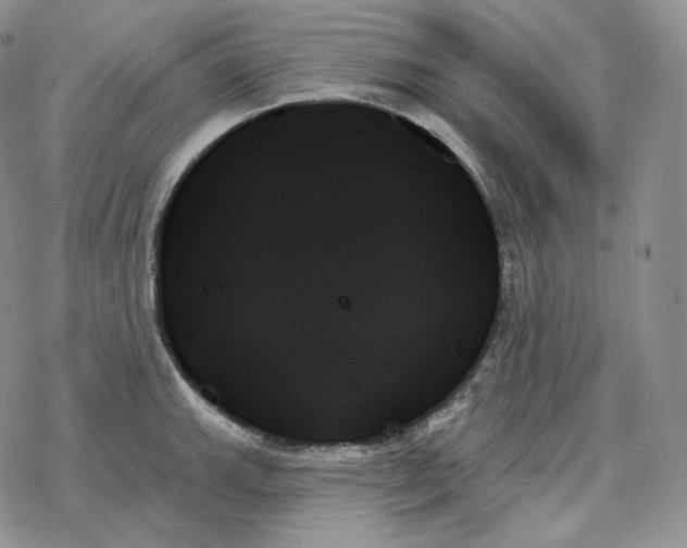 X0000078271143200611251347