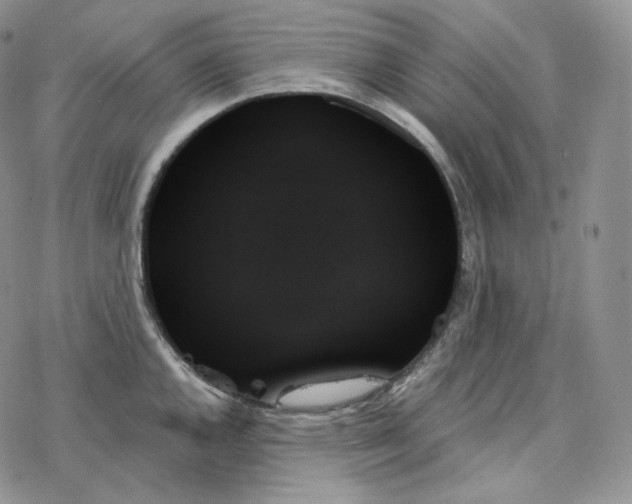 X0000078271144200611251347