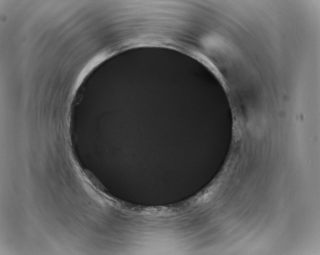 X0000078271146200611251347