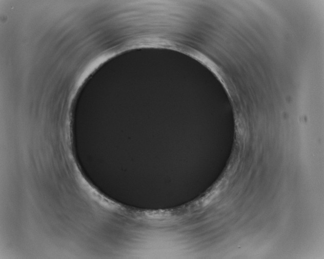 X0000078271147200611251347