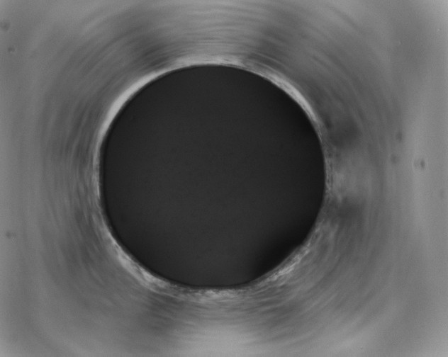 X0000078271148200611251347