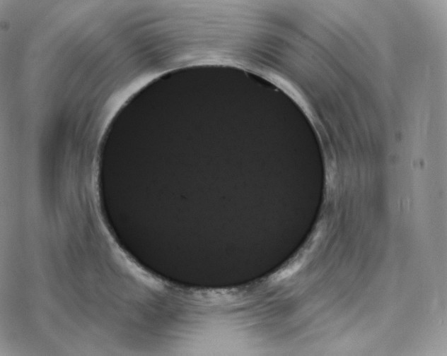 X0000078271149200611251347