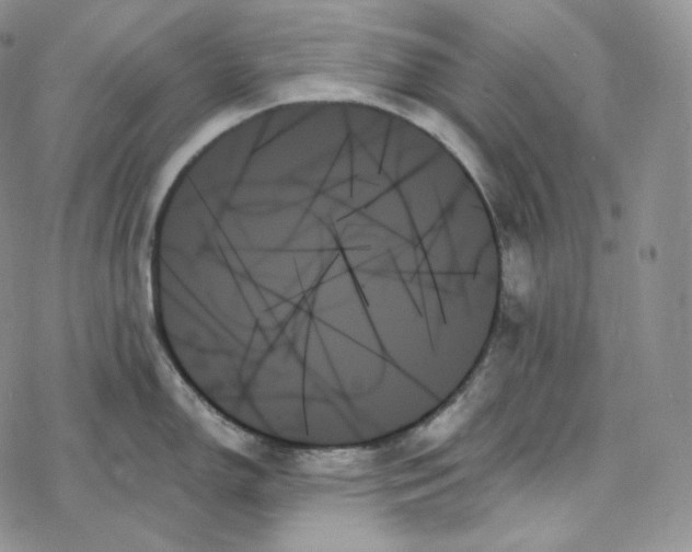 X0000078271150200611251347