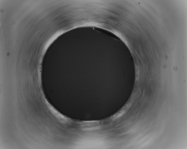 X0000078271151200611251347