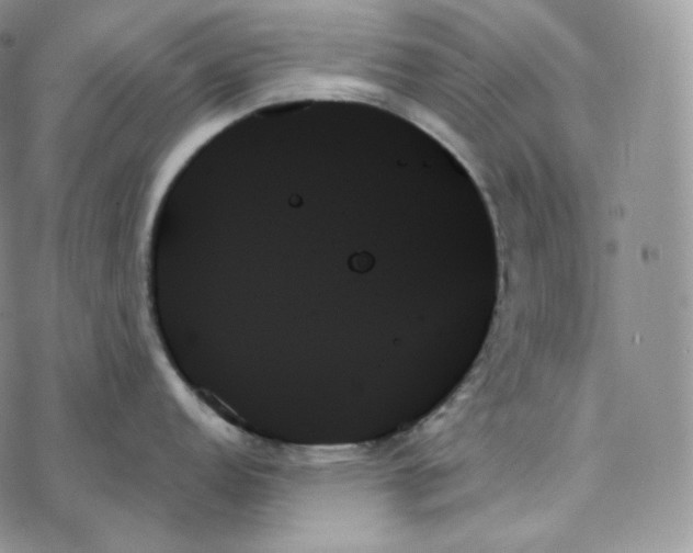 X0000078271152200611251347