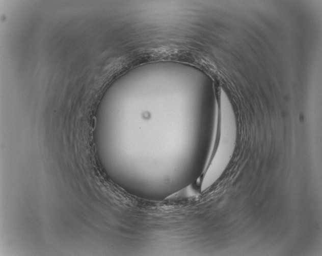 X0000078271153200611251346