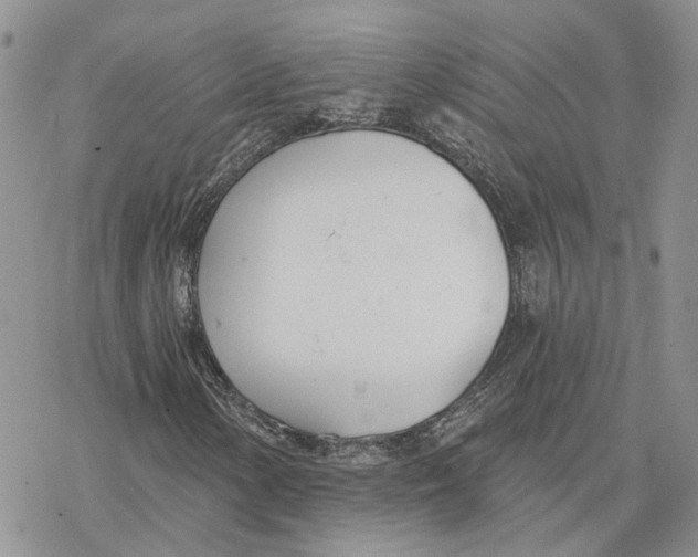 X0000078271154200611251346