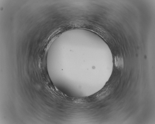 X0000078271155200611251346