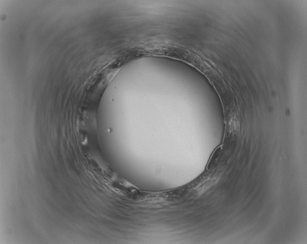 X0000078271156200611251346