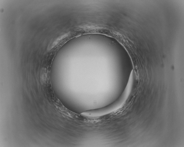 X0000078271157200611251346