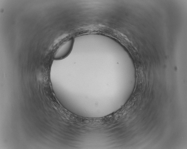 X0000078271158200611251346