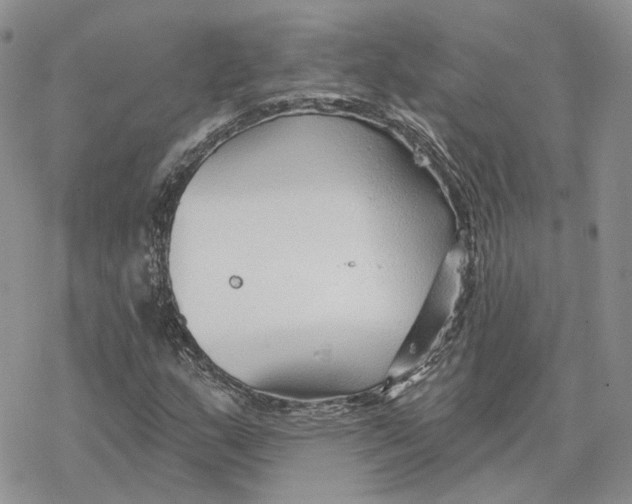 X0000078271159200611251346