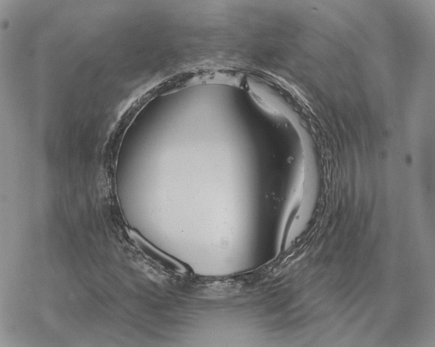 X0000078271160200611251346