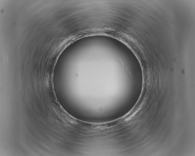 X0000078271161200611251346