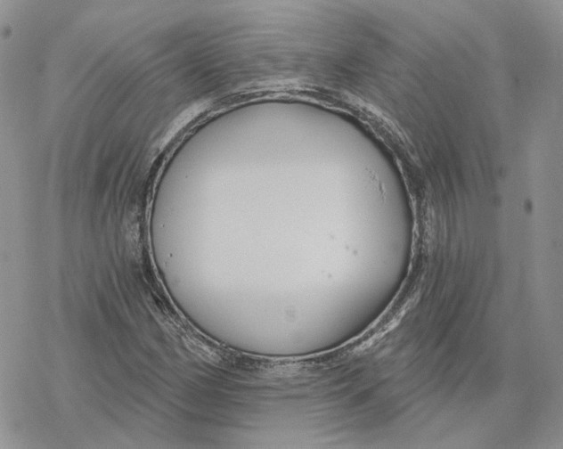 X0000078271162200611251346