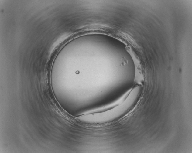 X0000078271164200611251346