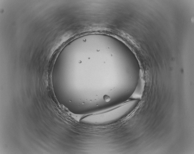 X0000078271165200611251346