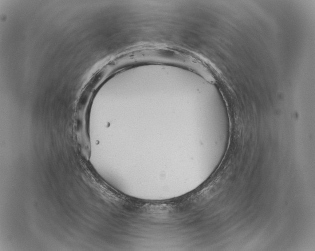 X0000078271168200611251346