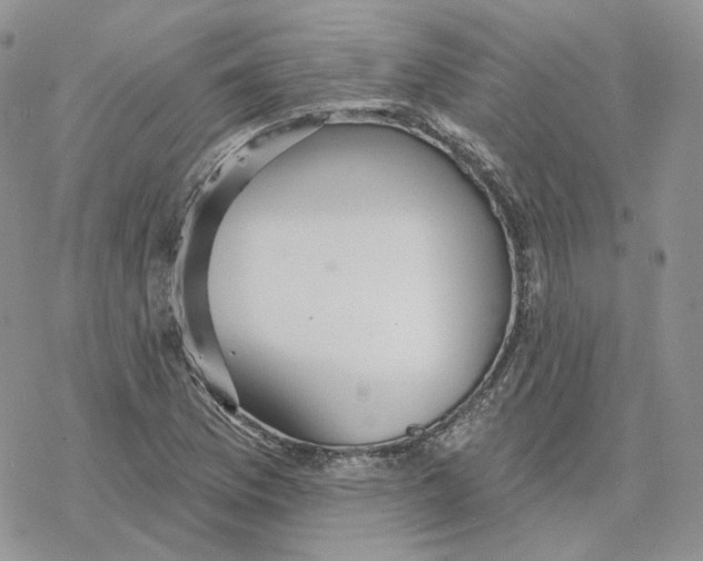 X0000078271169200611251346