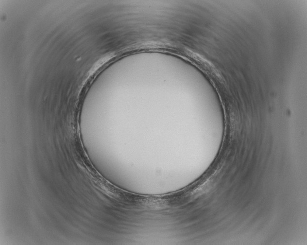 X0000078271170200611251346