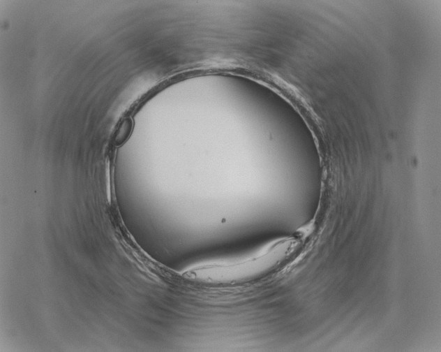 X0000078271171200611251346